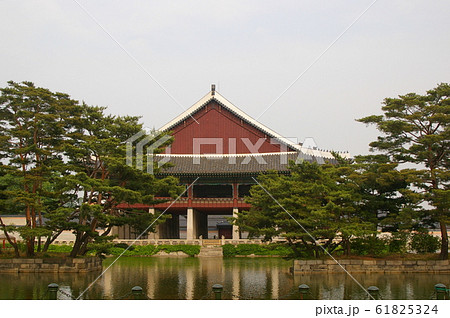 スポット 樹木 絶景 61825324