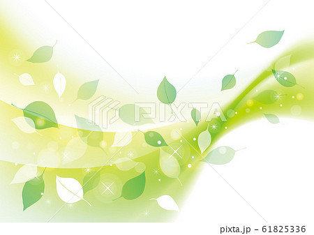 風に舞う緑の葉の背景 61825336