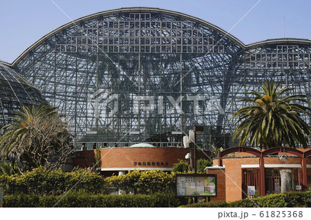 夢の島熱帯植物園 夢の島熱帯植物園 61825368