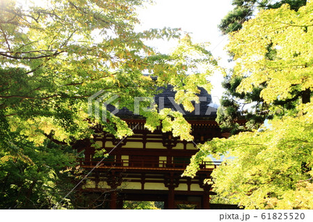 室生寺、仁王門、奈良市、真言宗室生寺派大本山 室生寺、仁王門、奈良市、真言宗室生寺派大本山 61825520