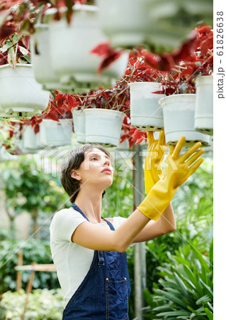 Woman growing flowers for selling Woman growing flowers for selling 61826638