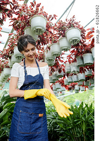 Female gardener putting on rubber gloves Female gardener putting on rubber gloves 61826662
