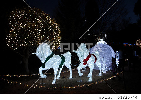 京都イルミエール16 京都イルミエール16 61826744