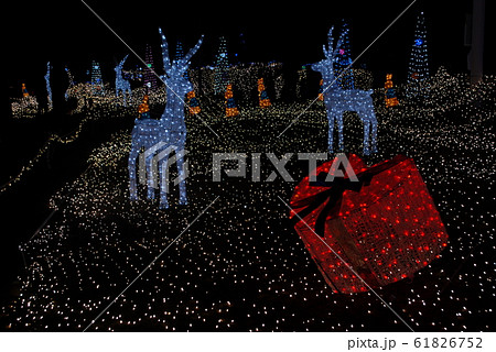 京都イルミエール8 京都イルミエール8 61826752