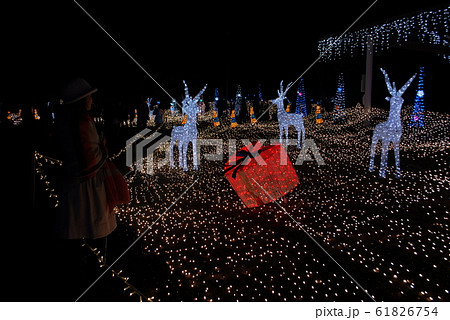 京都イルミエール7 61826754