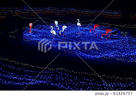 京都イルミエール4 61826757