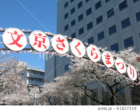 文京さくらまつり開催期間の播磨坂さくら並木(春日通り側の緑道入口) 文京さくらまつり開催期間の播磨坂さくら並木(春日通り側の緑道入口) 61827319