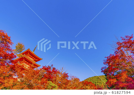京都 秋の清水寺 三重塔 京都 秋の清水寺 三重塔 61827594