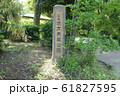 次大夫堀公園 61827595