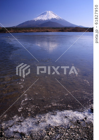 富士山が映った冬の湖畔 61827950