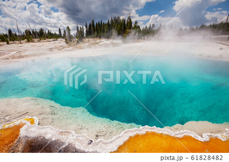 Yellowstone 61828482