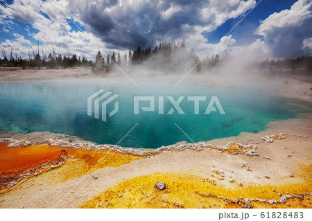 Yellowstone 61828483