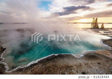 Yellowstone 61828484