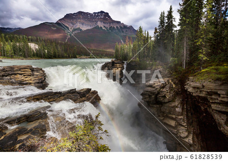 Athabasca river 61828539