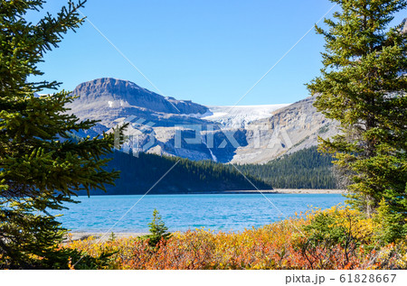 秋のカナディアンロッキー 紅葉のボウ・レイクとボウ氷河(バンフ国立公園 カナダ・アルバータ州) 秋のカナディアンロッキー 紅葉のボウ・レイクとボウ氷河(バンフ国立公園 カナダ・アルバータ州) 61828667