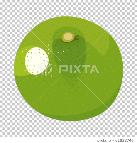 Illustration of fruit. Refreshing sour citrus of Cabos and Sudachi. 61828746