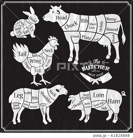 Animal farm set. Cut of beef, pork, lamb, chicken. Poster Butchers for groceries, meat stores, butcher shop, farmer market. Cow, pig, sheep and chicken silhouette. 61828898