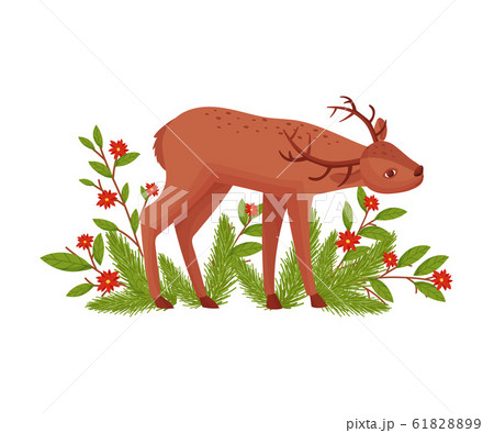 Brown Deer Near Floral Twigs. Hoofed Ruminant Mammal Standing with Its Head Bending Vector Illustration 61828899