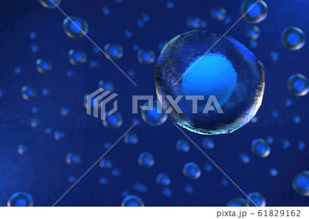 3d rendering of Cell biology deals with the 61829162