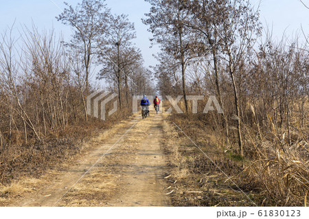 自然 風景 韓国 61830123