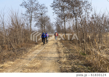 自然 風景 韓国 61830124