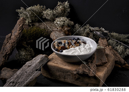 granola with yoghurt 61830288