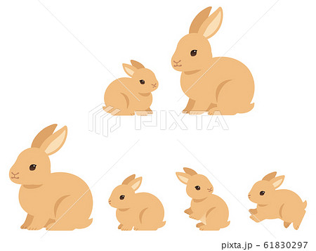 Rabbit Parent And Child Illustration Set Stock Illustration