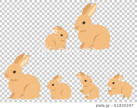 ウサギの親子のイラストセットのイラスト素材