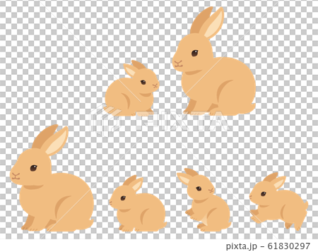 Rabbit Parent And Child Illustration Set Stock Illustration