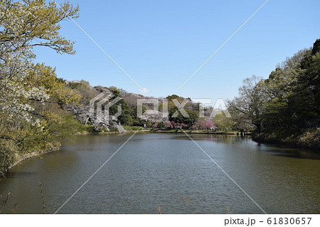 鶴見区三ツ池公園 鶴見区三ツ池公園 61830657