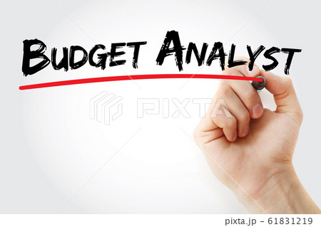 Budget analyst text with marker 61831219