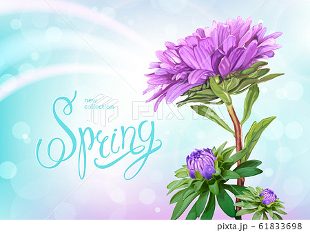 Spring collection background Spring collection background 61833698
