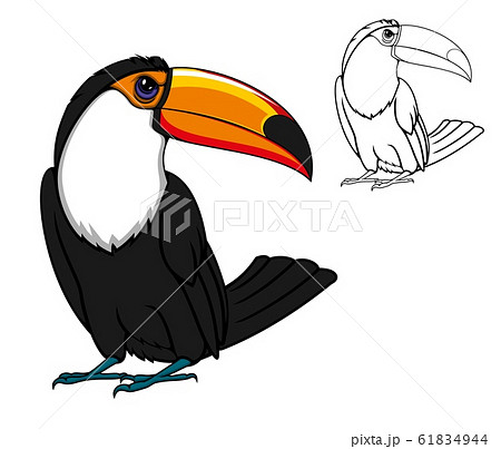 Exotic tropical toucan bird, cartoon animal Exotic tropical toucan bird, cartoon animal 61834944