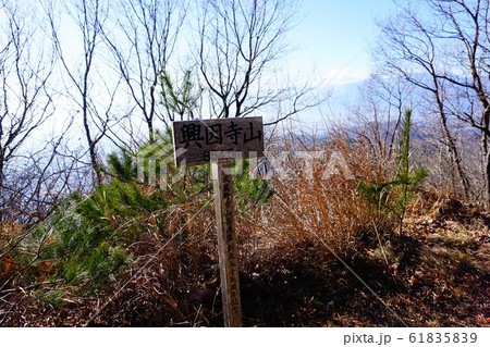山梨 甲府 興因寺山 山頂 山梨 甲府 興因寺山 山頂 61835839