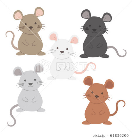 Cute Rat Mouse Set Cartoon Character Vector Illustration 61836200