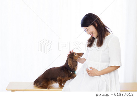 妊婦さんとミニチュアダックスフンド 妊婦さんとミニチュアダックスフンド 61837015