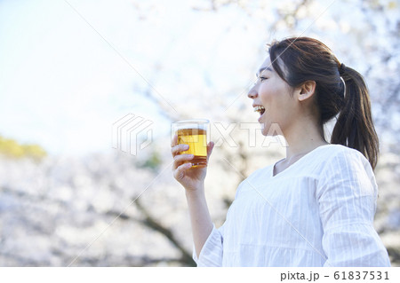 花見をする若い女性 花見をする若い女性 61837531