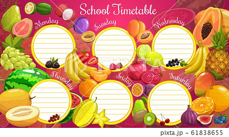 School timetable or planner, exotic fruits 61838655