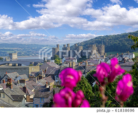Famous Conwy Castle in Wales, United Kingdom, series of Walesh castles 61838696