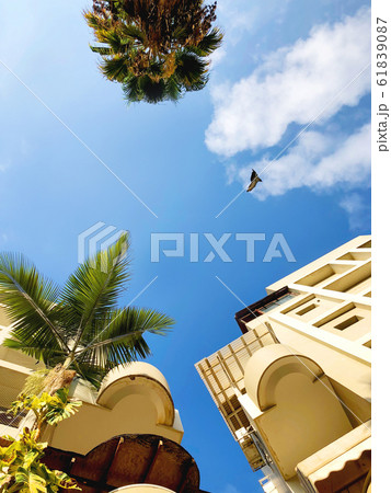 High residential buildings in Holon, Israel.  61839087