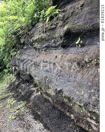 地層 ―STRATUM― 地層 ―STRATUM― 61839215
