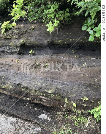 地層 ―STRATUM― 地層 ―STRATUM― 61839232