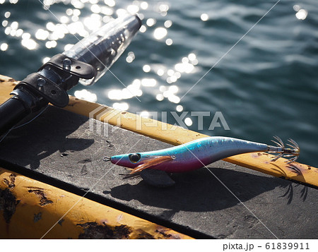 エギとルアー 61839911