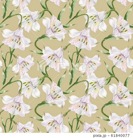 Watercolor alstroemeria beige seamless pattern 61840077