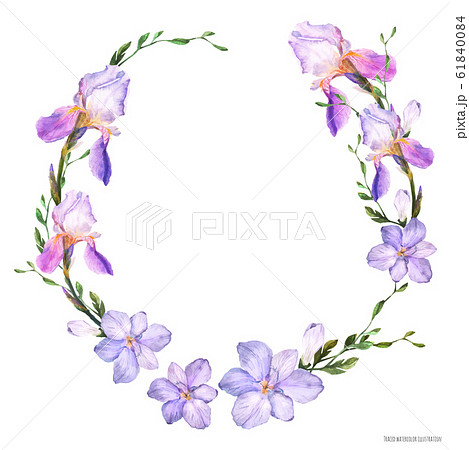 Decorative watercolor wreath with iris and freesia Decorative watercolor wreath with iris and freesia 61840084
