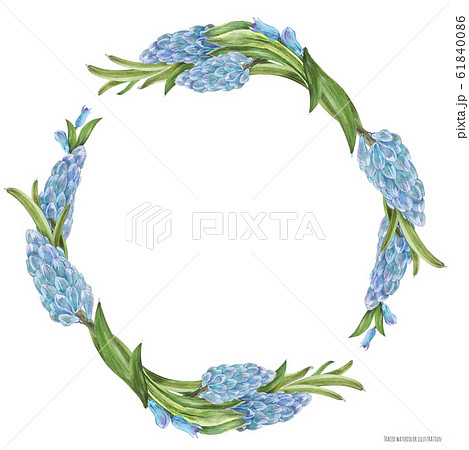 Spring watercolor wreath with hyachinth flowers 61840086