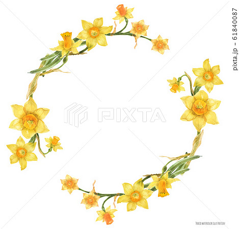 Decorative watercolor wreath with yellow daffodil 61840087