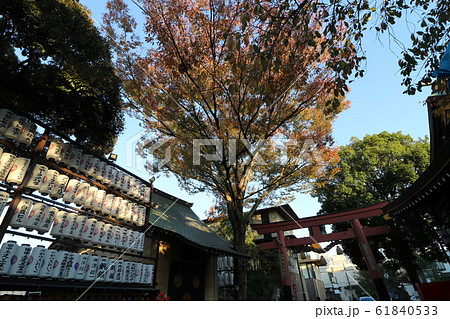 君の名はの聖地、東京四谷の須賀神社 61840533