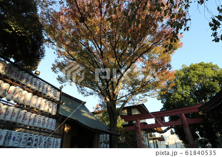 君の名はの聖地、東京四谷の須賀神社 君の名はの聖地、東京四谷の須賀神社 61840535