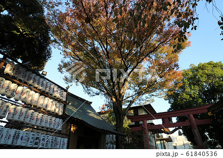 君の名はの聖地、東京四谷の須賀神社 君の名はの聖地、東京四谷の須賀神社 61840536